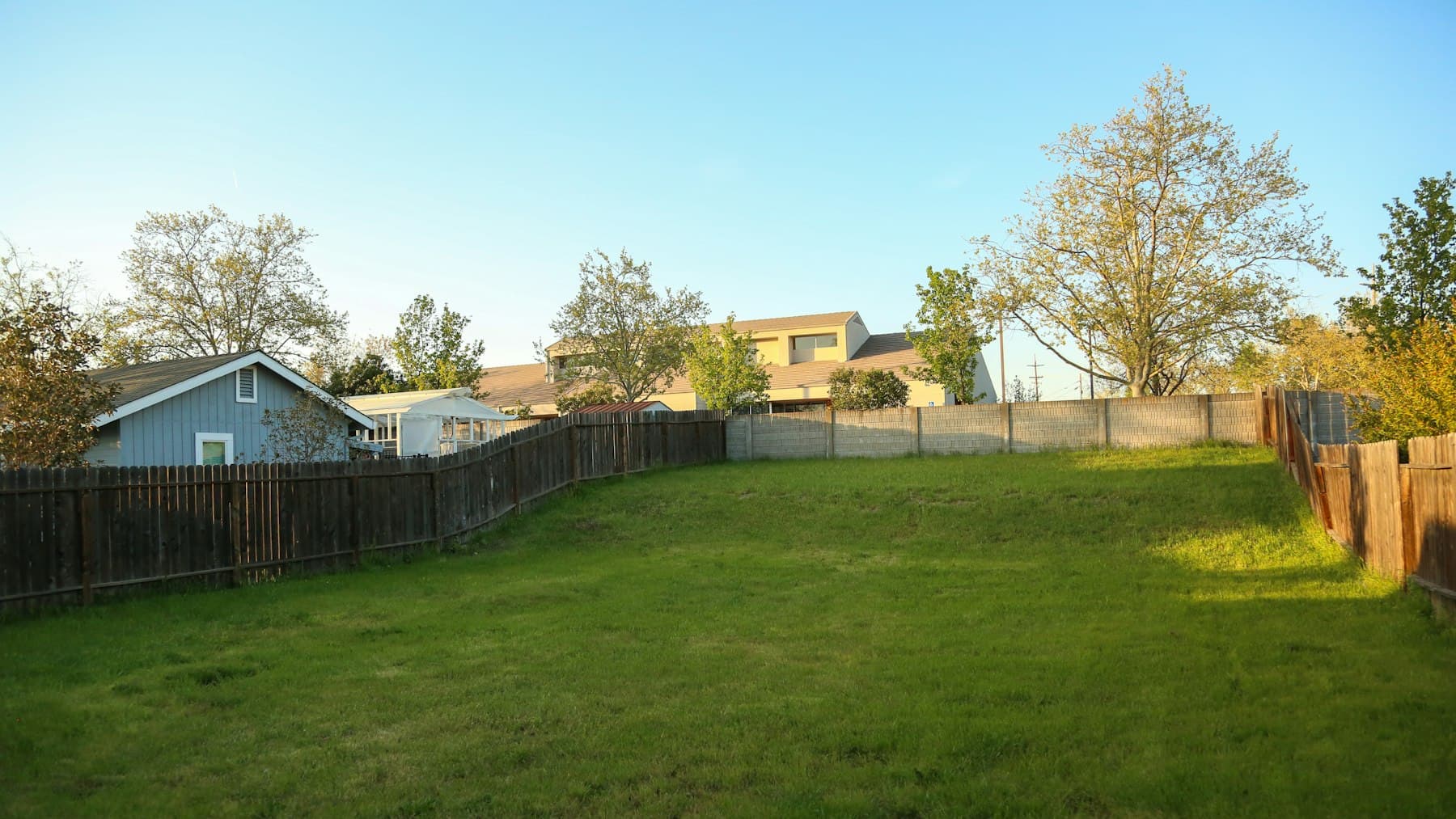 Green grass lawn in a fenced backyard, the kind of lawn San Diego homeowners choose grass types for