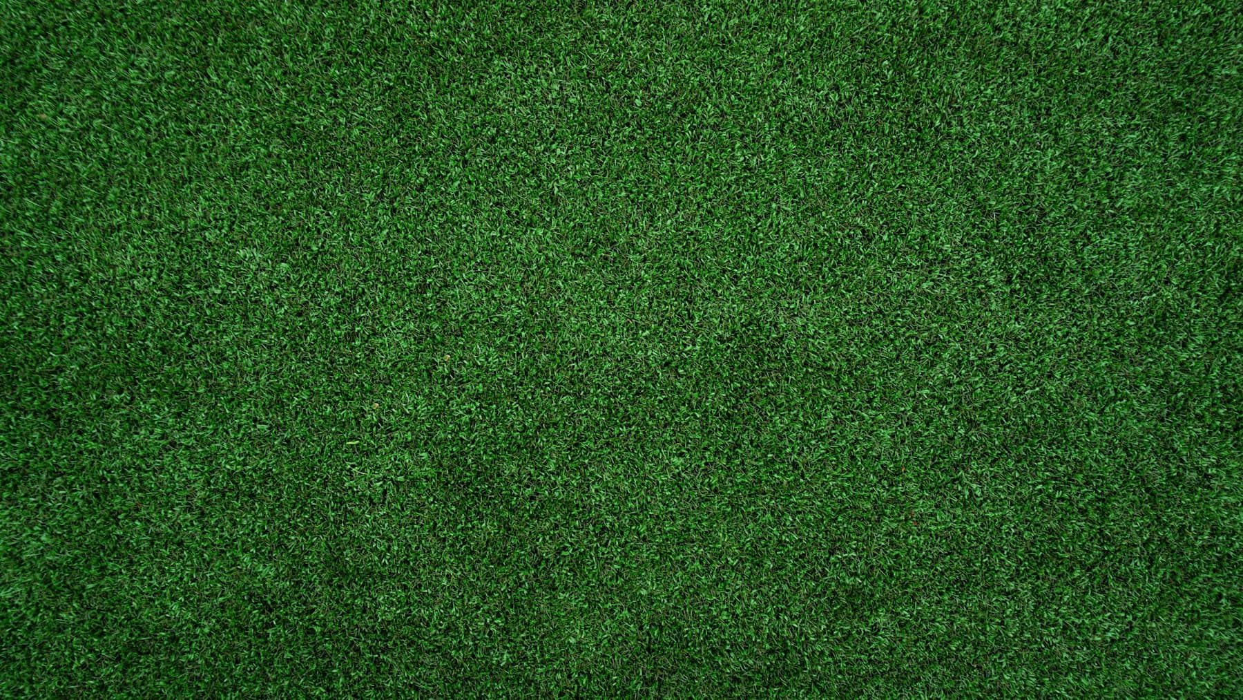 Top-down view of a grass lawn that could be replaced through a San Diego turf rebate