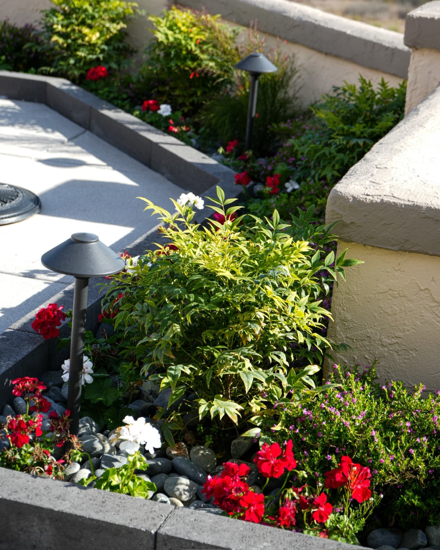 Custom landscape lighting design and installation by Modern Yardz in San Diego