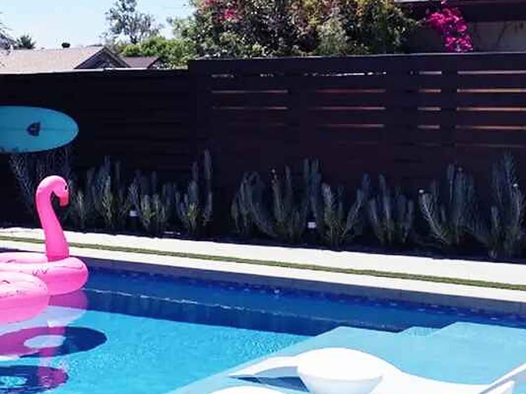 Backyard remodel with a new pool, deck and planted privacy border by Modern Yardz San Diego
